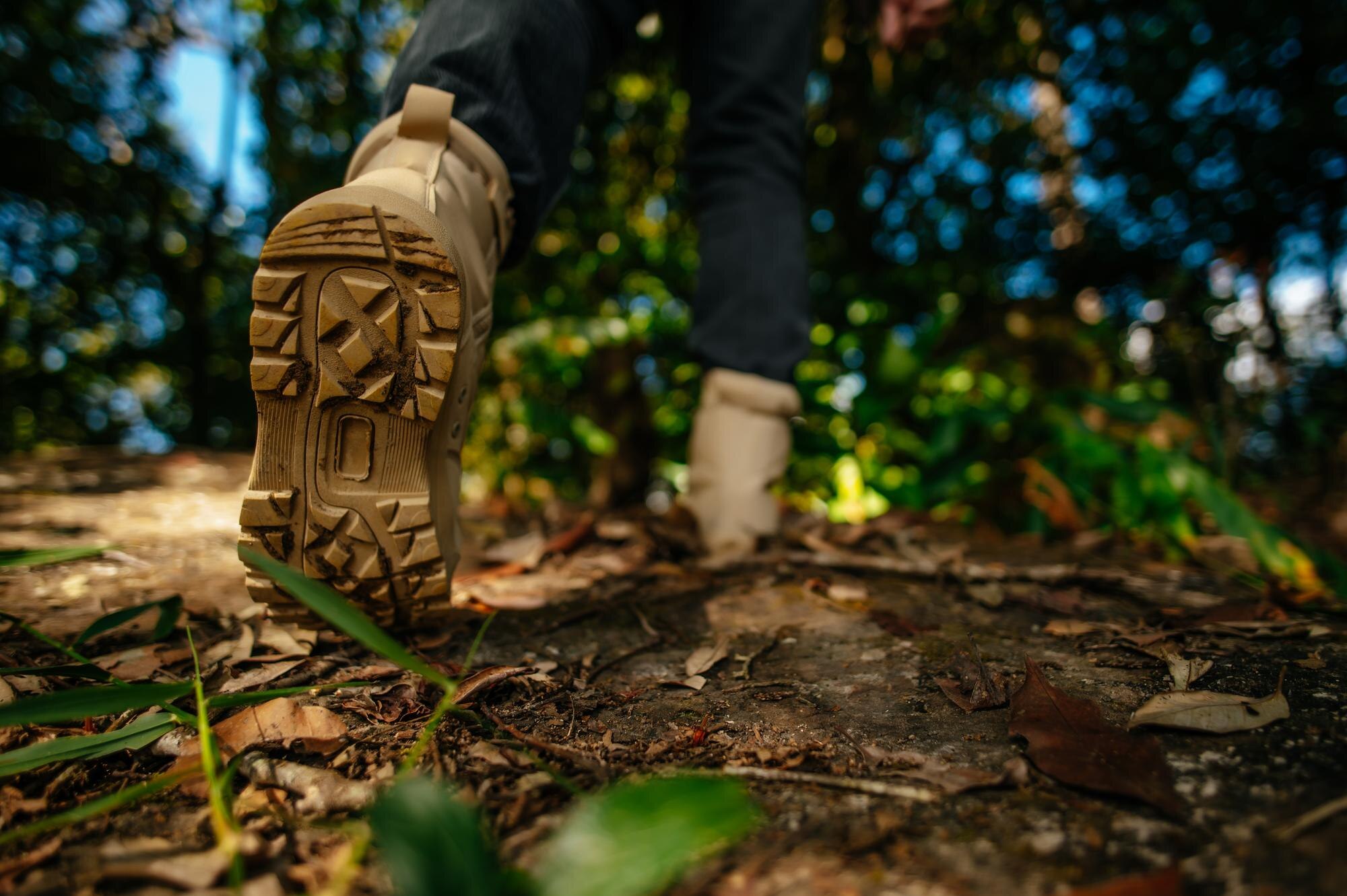 Zapatos de caminata y naturaleza